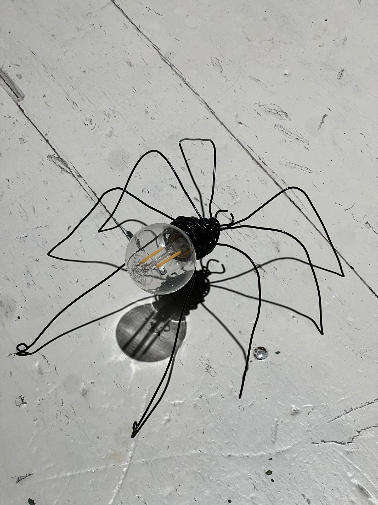 Araña Medium