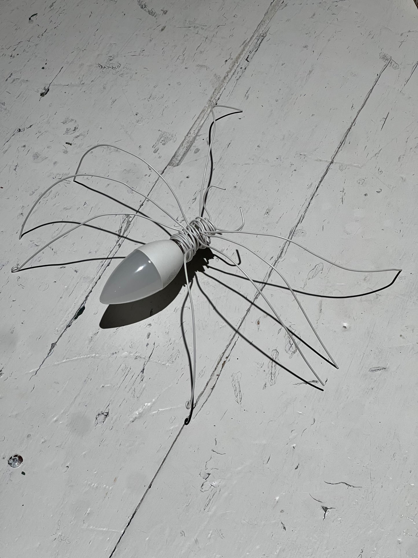 Araña Large