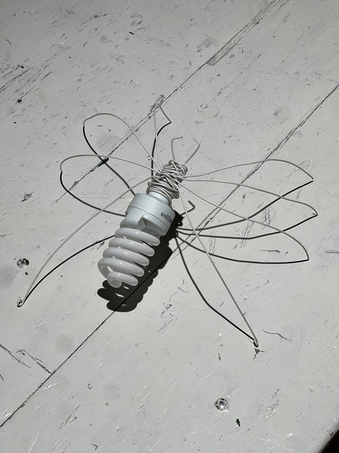 Araña Medium