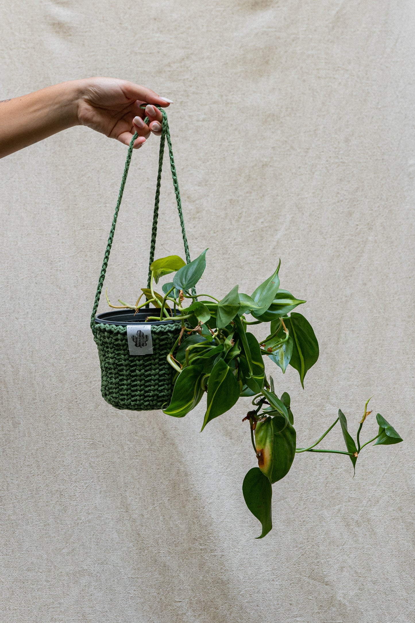 Coprivaso Sospeso - Green